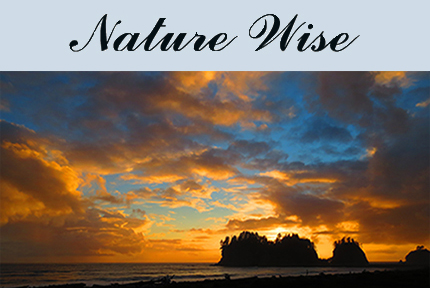 Nature Wise Tees